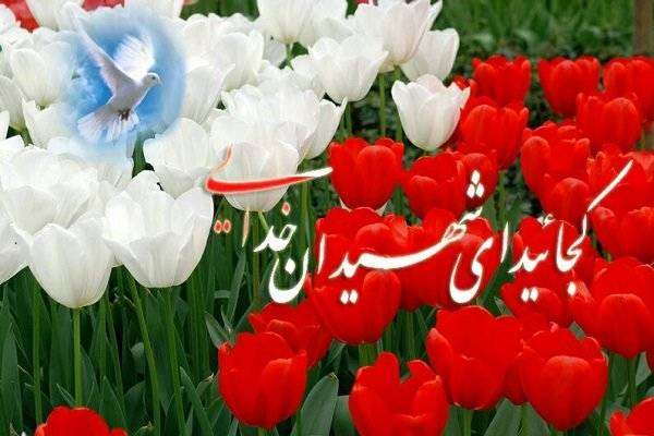 تشییع شهدا - نوشته کورش شجاعی مدیر مسئول روزنامه خراسان - شهید شقایق نشان